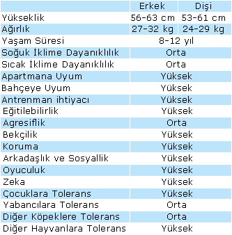 standart